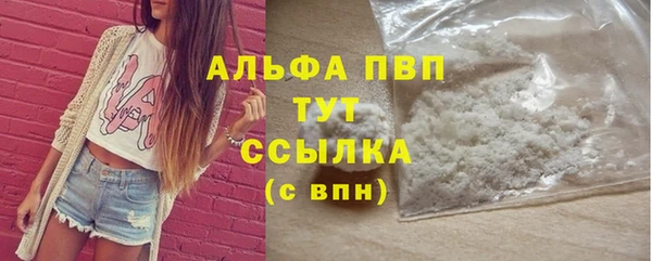 крисы Тавда